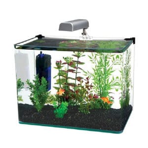 Qualität und einzigartiges 10 Gallonen Aquarium Kit