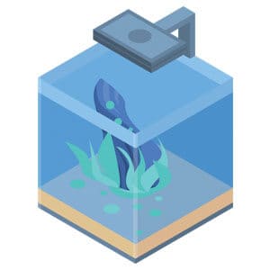 Qualitätsstarter 10 Gallonen Aquarium