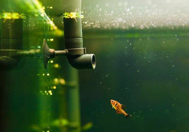 Aquarium Ausrüstung