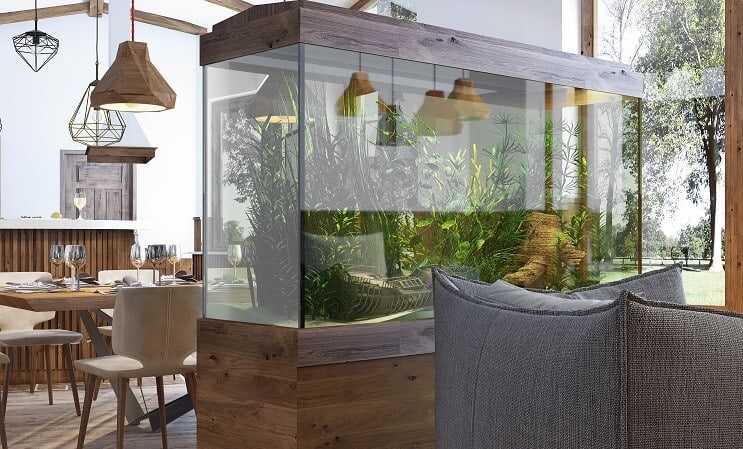 100 Gallonen Aquarium