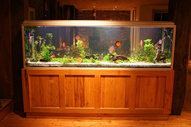 55 Gallonen Tank