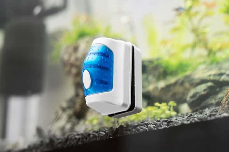 Wartung eines Aquariums