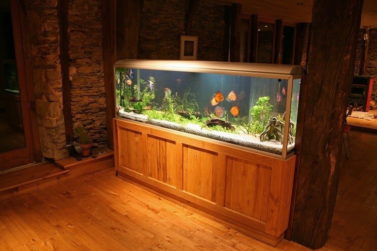 Diskus Tank UV Sterilisator
