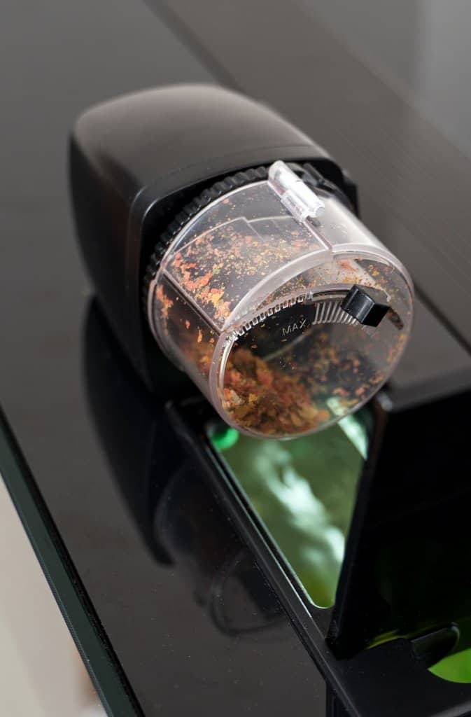 Automatische Fischfütterung