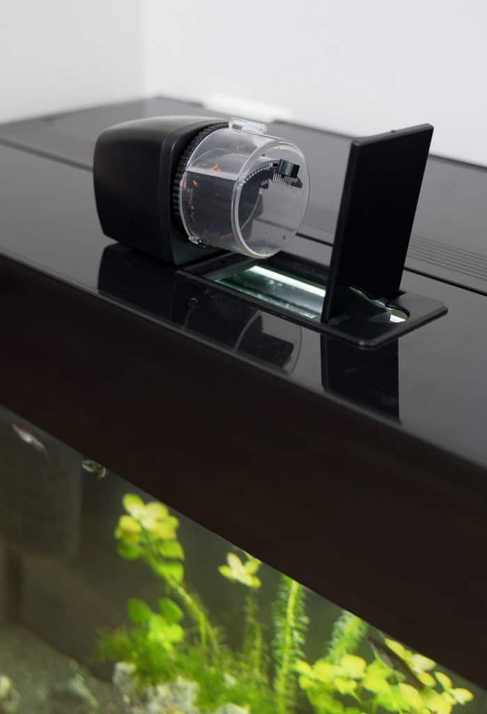 Feeder einrichten