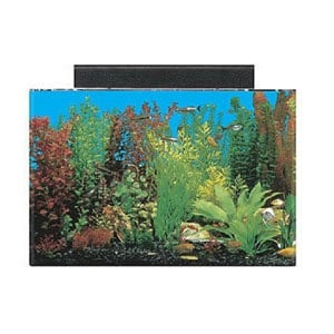 Bestes 20 Gallonen Aquarium
