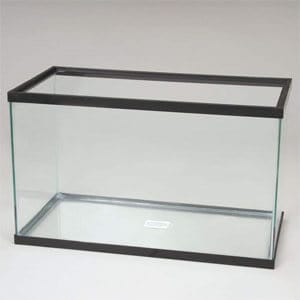 Erschwinglichstes 20 Gallonen Aquarium