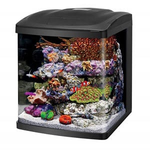 Würfel-Aquarium