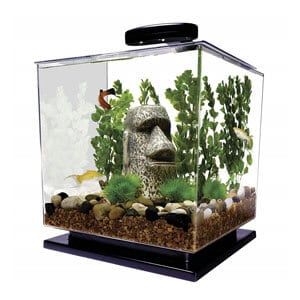 Das Tetra Aquarium