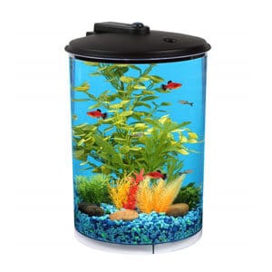 Koller Aquaview 3 Gallonen Tank