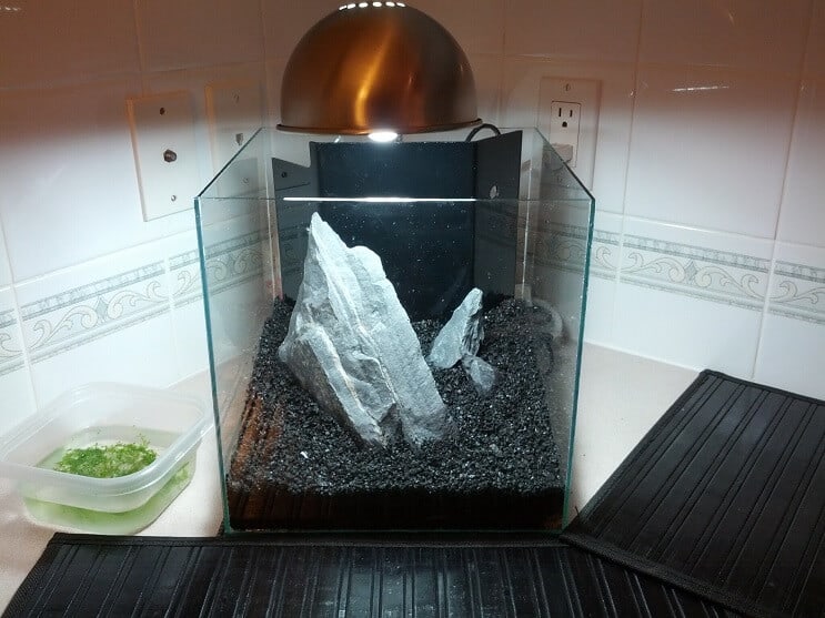 3 Gallonen Tank einrichten