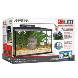 5 Gallonen Aquarium Kit