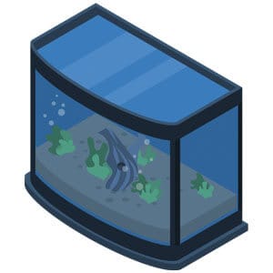 5 Gallonen Aquarium