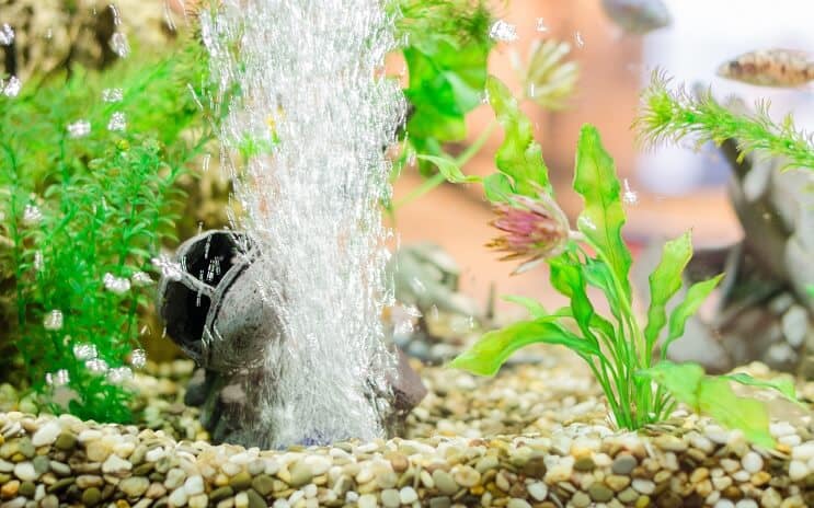 Aquariumdekoration mit Luftstein