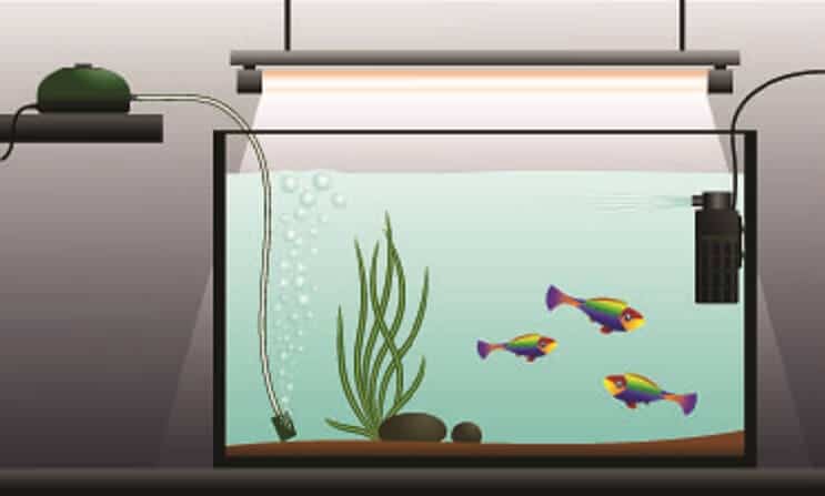Aquarium Luftpumpe einrichten
