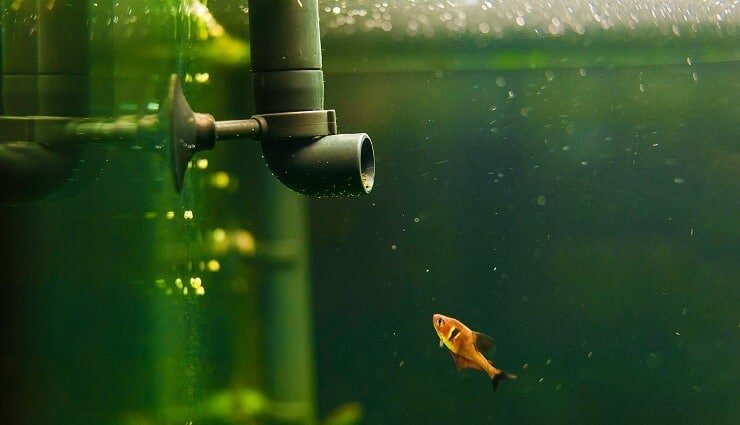 15 Gallonen Tankfilter