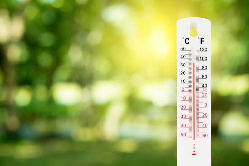 Bestes Aquarium-Thermometer