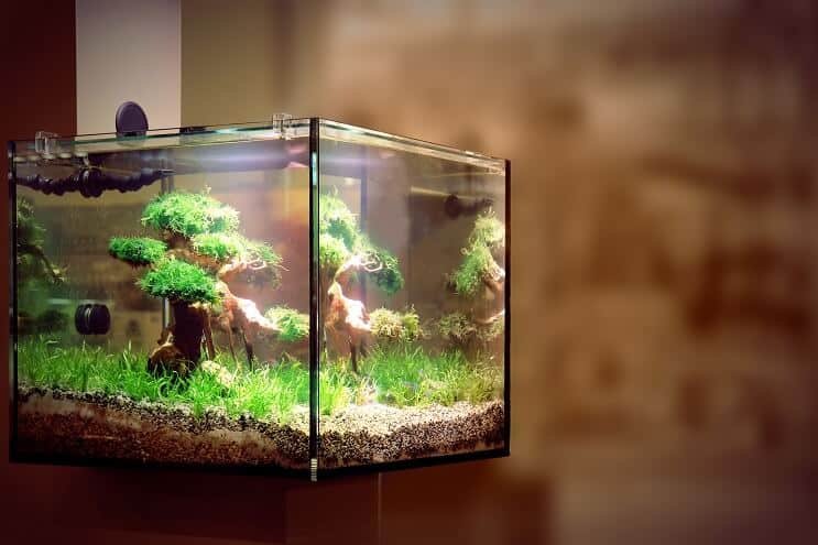 LED Aquarium Beleuchtung
