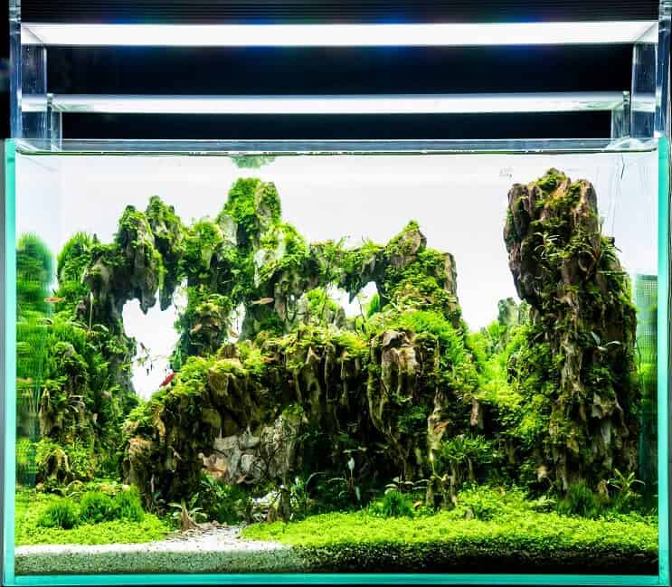 LED-Beleuchtung am Tank