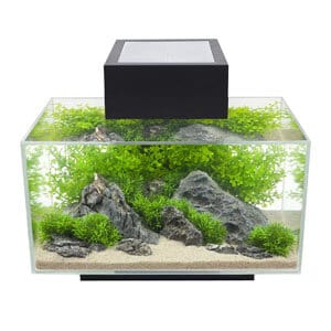 Stilvoller 6 Gallonen Tank