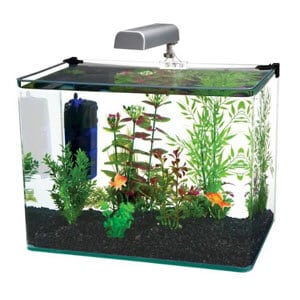 Penn Plax gebogenes Aquarium