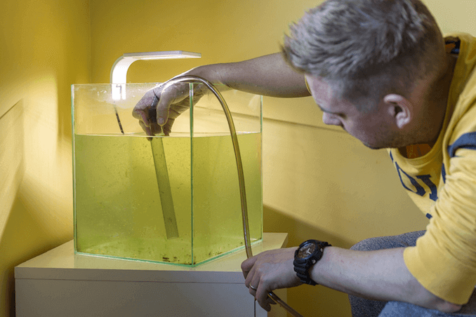 Wasser aus dem Tank schöpfen