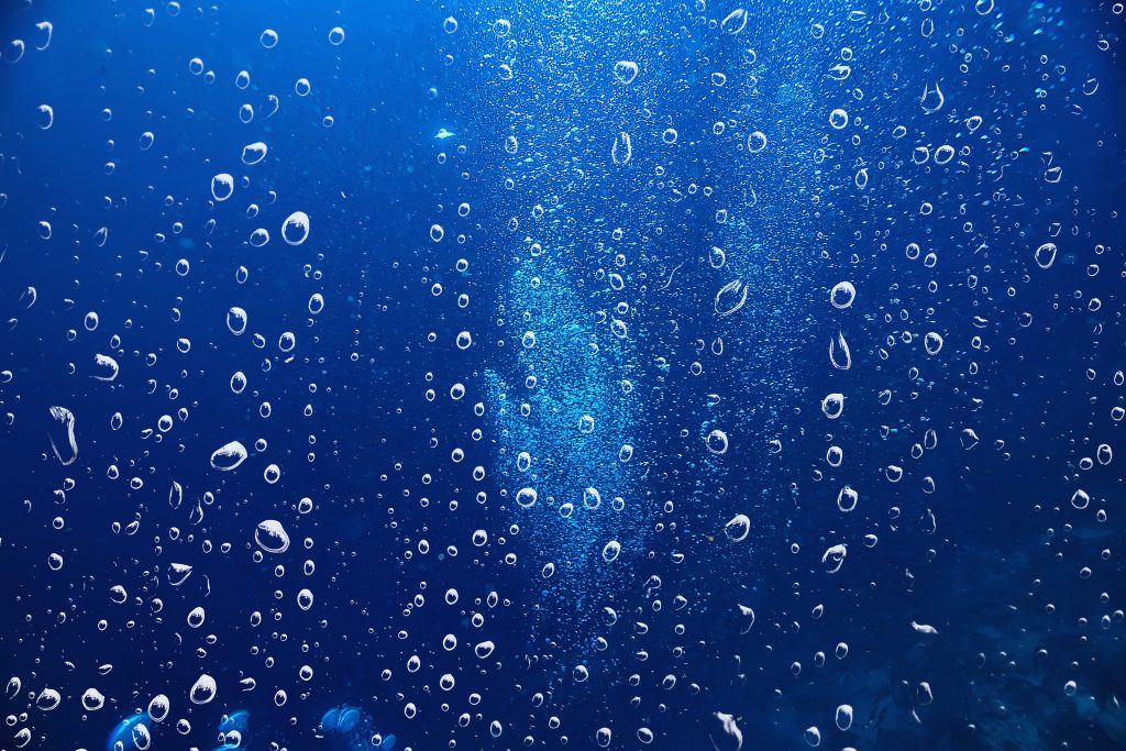Wie fahre ich ein Aquarium?