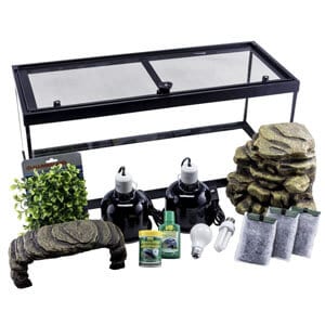 Bestes Turtle Starter Kit 