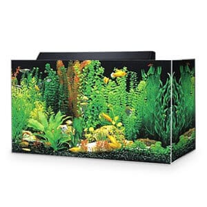 30 Gallonen Seaclear Acrylic Aquarium