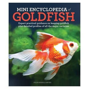 Eine Mini-Enzyklopädie für Goldfische