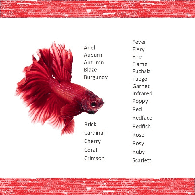 Rote Fischnamen