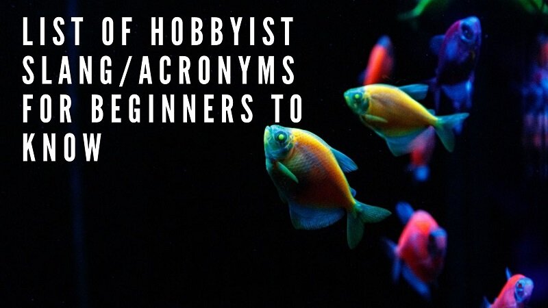 Liste der Hobbyisten slang_acronyms für Anfänger