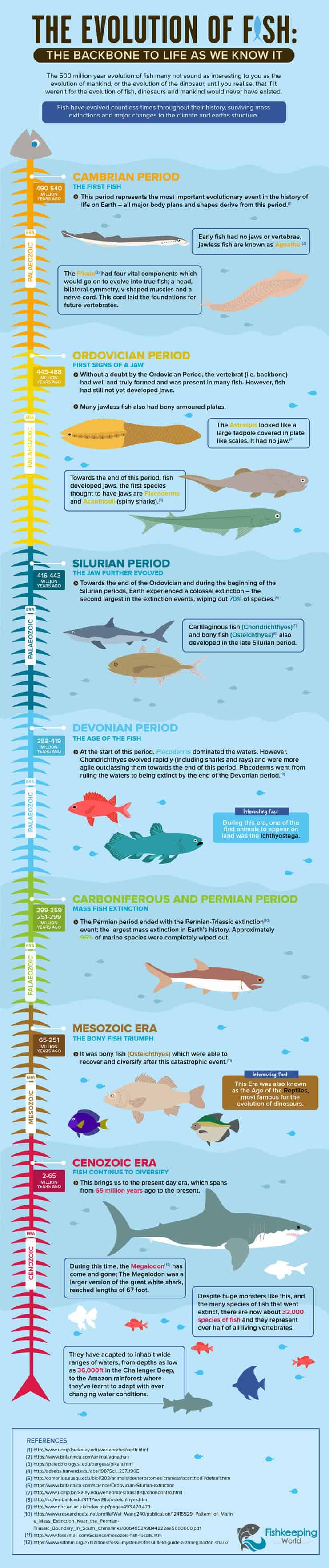 Die Entwicklung der Fisch-Infografik