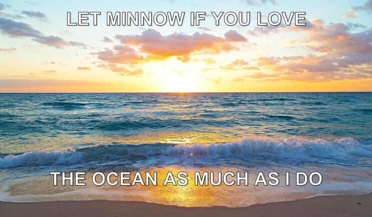 Lass Minnow