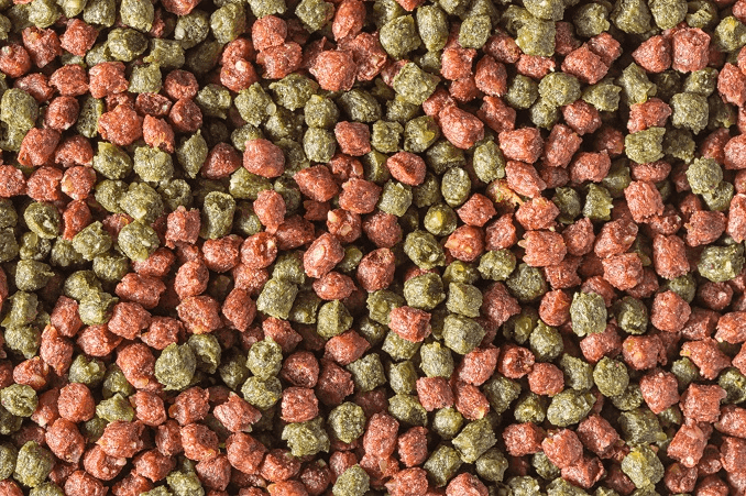 Getrocknete Pellets