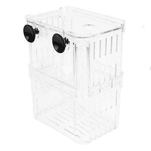 Petzilla In-Tank Aquarium Züchter Box für Aquarium, Zuchtinkubator für kleine Fischbrutstätten, Acryl-Teiler für Shrimps Clownfische Aggressive Fische Verletzte Fische (klein)