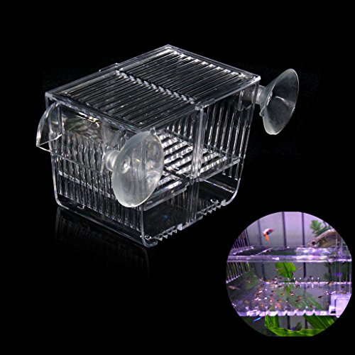 boxtech Aquarium Aquarium Brutstätte Inkubator Zuchtbox, Acryl Weiß Züchter Isolation Teiler Brutboxen Zubehör Kleine Babyfische Garnelen Clownfisch Guppy (5.2x2.7x2.9 '')