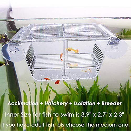 capetsma Fischzuchtbox, Acrylfisch-Isolierbox mit Saugnäpfen, Aquarium Acclimation Hatchery Incubator für Babyfische Shrimp Clownfish und Guppy. Kleine Größe (S)