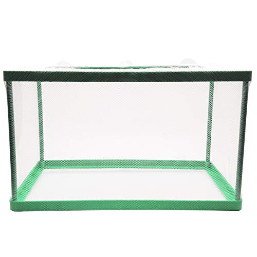 Aquarium Fish Breeder Box, Fischisolationsbox, Brutbox, Jungfisch-Laichinkubator, Wasserisolationsnetz-Brutstätte (grün)