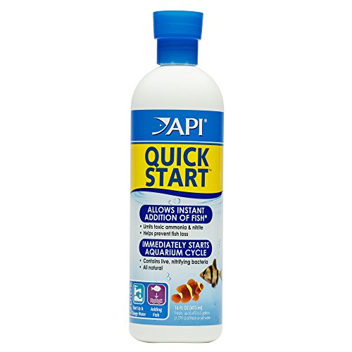 API QUICK START Süßwasser- und Salzwasseraquarium Nitrifizierende Bakterien 16-Unzen-Flasche
