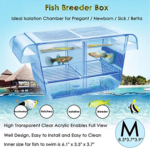 capetsma Fish Breeder Box, Hang-on Kindergarten Aquarium mit Breeding Hatching Incubator Akklimatisierungsbox, perfekte Aquarium Teiler für aggressive verletzte schwangere Fische Small Fish Sole Shrimp Clownfish