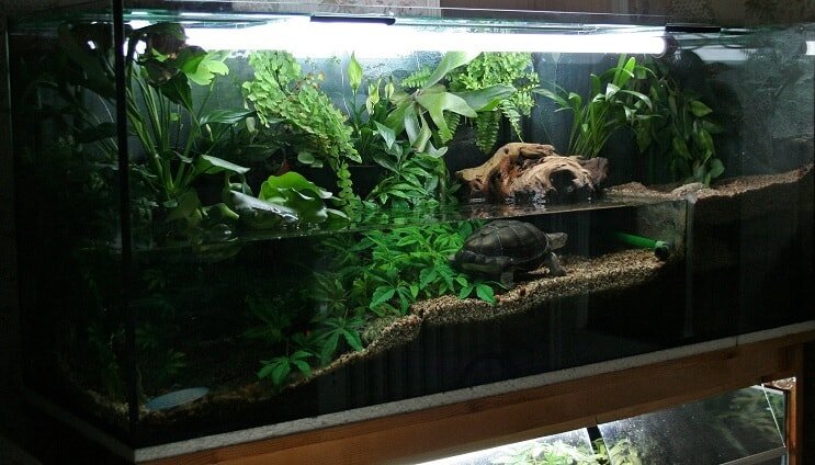 Tank Einwohner Idee